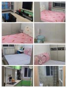 出租彩虹城b区 1200/月  精装2室  家具家电齐全  